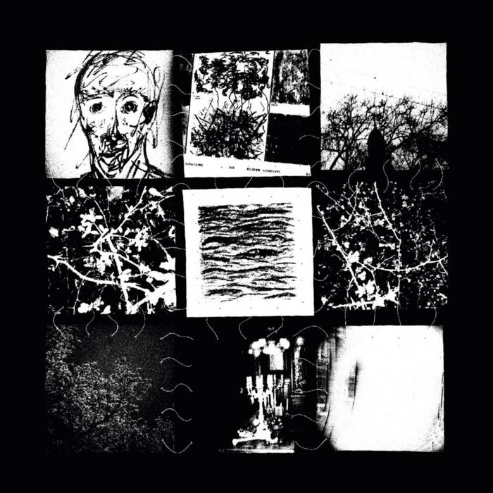 L'ORNE - AND I FELL ASLEEP FOREVER (LP)
