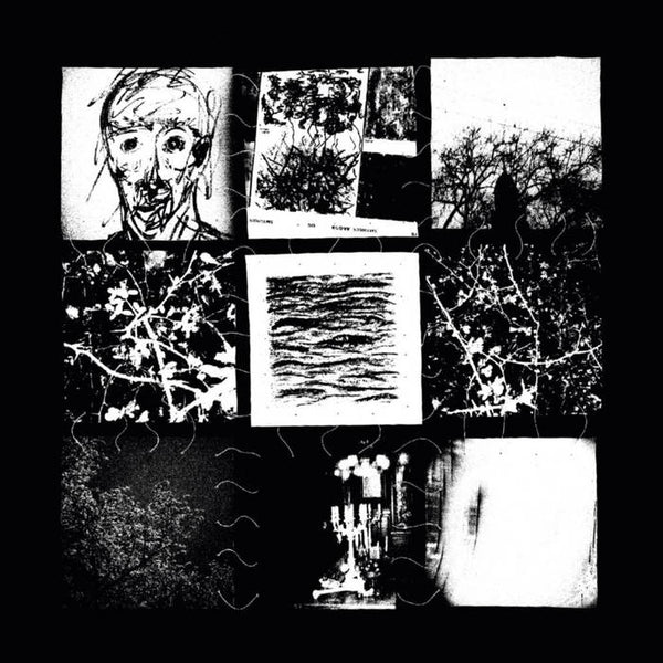 L'ORNE - AND I FELL ASLEEP FOREVER (LP)