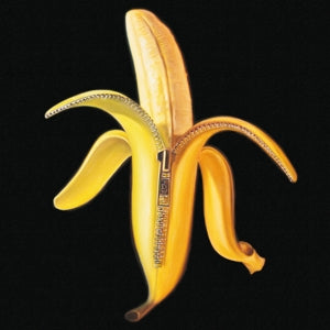 DANDY WARHOLS - WELCOME TO THE MONKEY HOUSE
