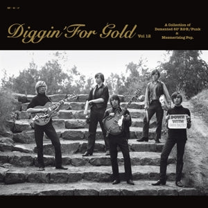 Various - Diggin' For Gold Vol 12 (LP)