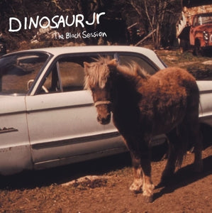 DINOSAUR JR. - THE BLACK SESSION