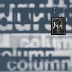 DURUTTI COLUMN - VINI REILLY RSD24