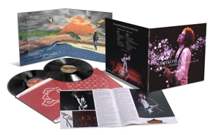 BOB DYLAN - budokan