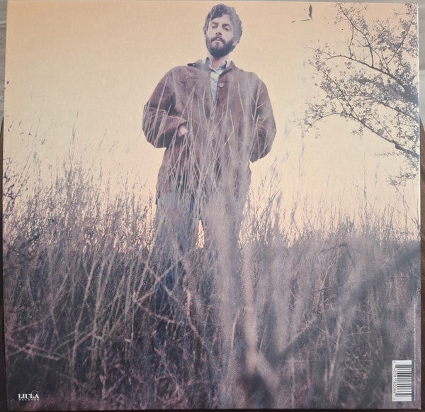 Ray Lamontagne - Trouble (LP)