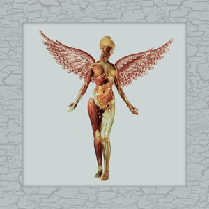 NIRVANA - IN UTERO 8LP Box