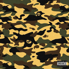 Load image into Gallery viewer, SMIB - EENDRAGHT MAECKT MAGHT (LP)
