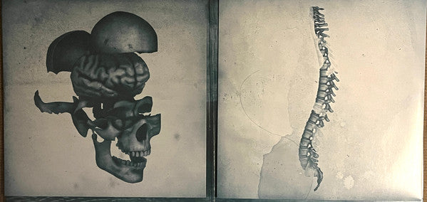Archive - Controlling Crowds (LP)