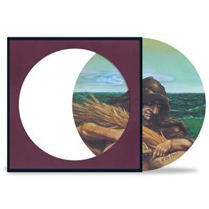GRATEFUL DEAD  WAKE OF THE FLOOD Picture Disc