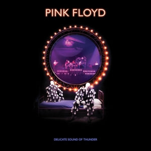 Pink Floyd - Delicate Sound of Thunder 2CD