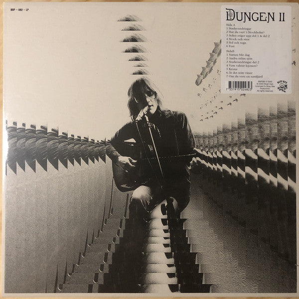 Dungen - II (Stadsvandringar)