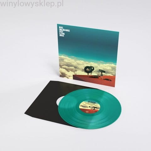 NOEL GALLAGHER HIGH FLYING BIRDS -  Wait And Return RSD Coloured Vinyl