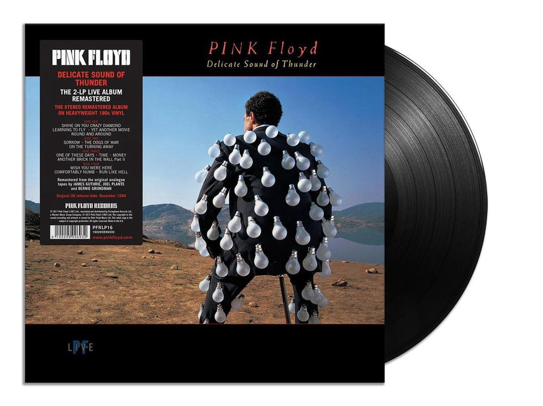 Pink Floyd - Delicate Sound of Thunder 2LP