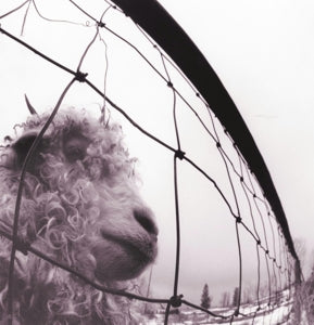 PEARL JAM - VS. VINYL EDITION (REMASTERED)