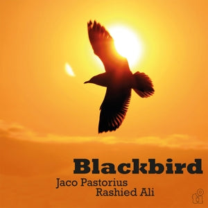 JACO PASTORIUS & RASHIED ALI - BLACKBIRD    Vinyl