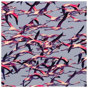 DEFTONES - GORE 2LP