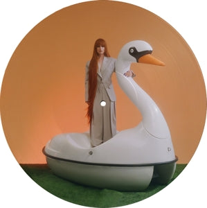 MEROL - TROOSTPRIJS Picture Disc