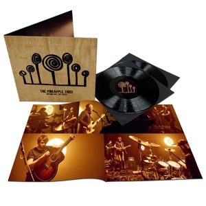 PINEAPPLE THIEF - NOTHING BUT THE TRUTH 2LP