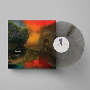 SHARON VAN ETTEN - WE'VE BEEN GOING ABOUT THIS ALL WRONG